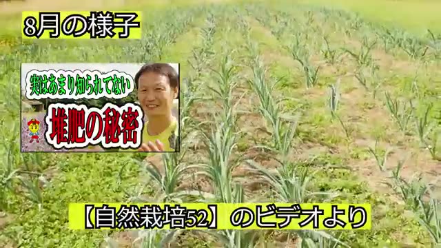 雑草管理と敷き草(草マルチ)の活用法