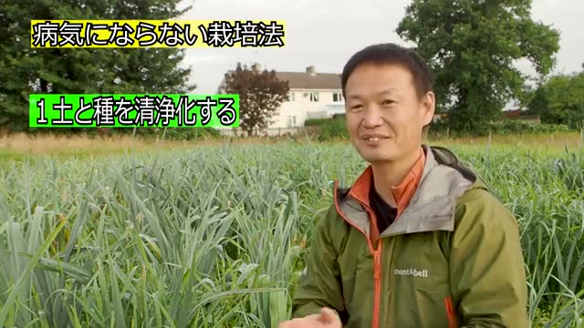 原因2：土の中における「火と水」のバランスの崩れ