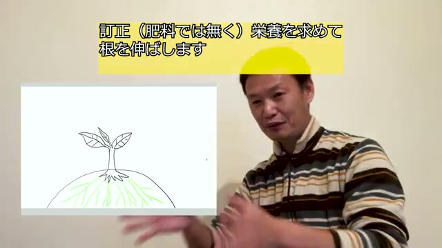 ポイント2:畝(うね)を立てる