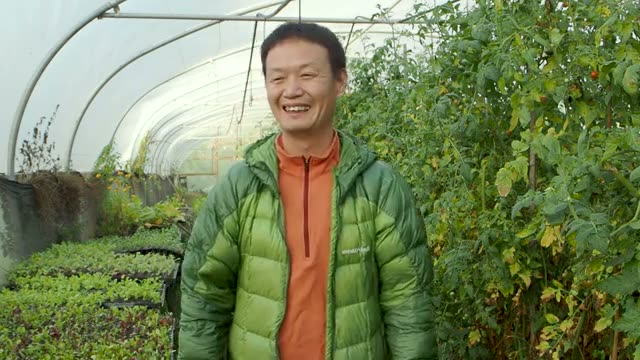 見えない「根」への配慮が健康な野菜を育てる
