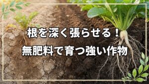 自然栽培で健康に!植物の根を伸ばす秘訣