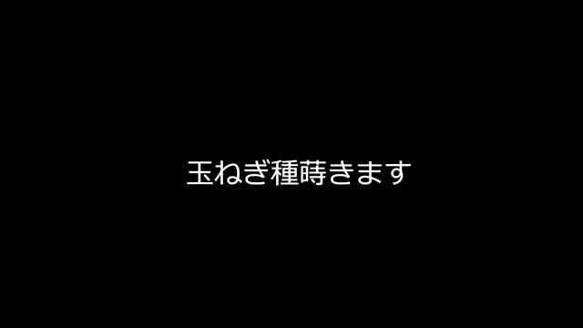 効率的なセルトレイ育苗の手順と鎮圧のメリット