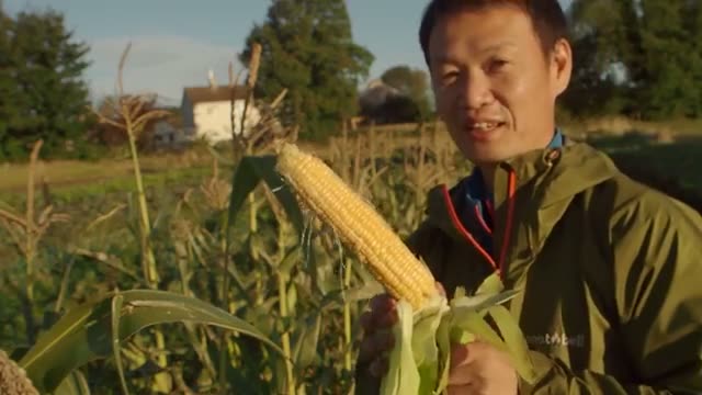 自然農法の利点1：外部資材に頼らない持続可能性