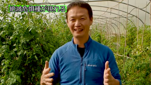 自然農法の利点2：生態系の回復と生き物の多様化