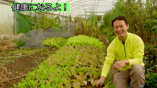 自然農法の利点5：土と種が本来の力を取り戻す
