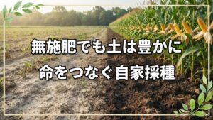 微生物が活性化する持続可能な農法とは?自然農法の利点とトウモロコシの自家採種法