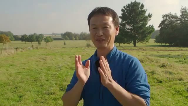 元気のない土の層ができる原因と影響