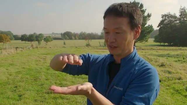土の層を正常化する3つのアプローチ