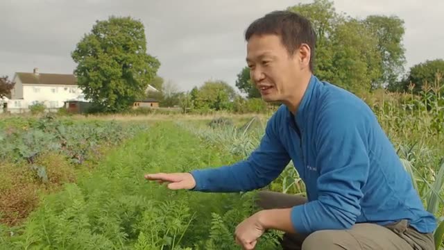ニンジンの種まきと指2本分の間引き作業