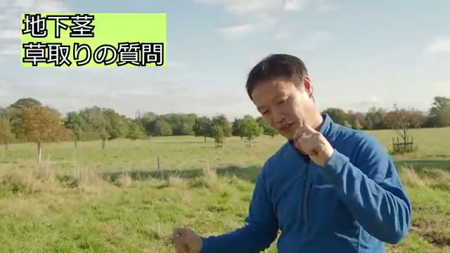 太い地下茎を持つ雑草への段階的な対策