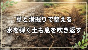 地下茎雑草の対策と水を弾く土の再生法