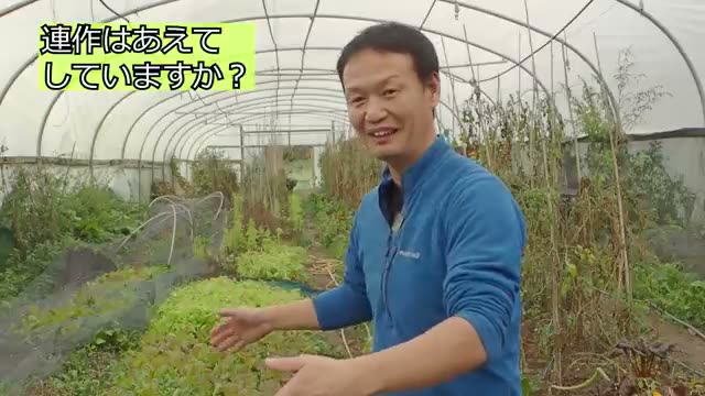 今橋さんが考える連作の定義