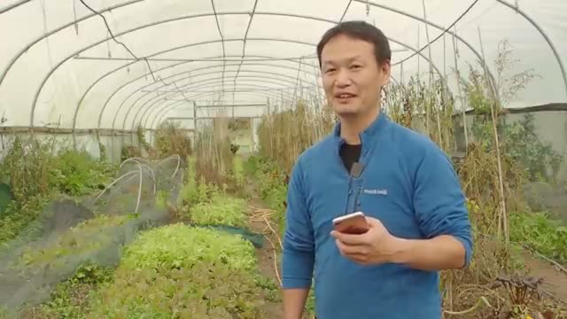 リレー栽培と育苗時の水やり
