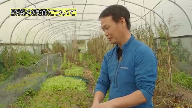 収穫後の残渣はその場で土へ還す