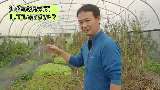 自然の摂理に沿った連作の力