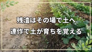 自然栽培の残渣処理と連作の基本