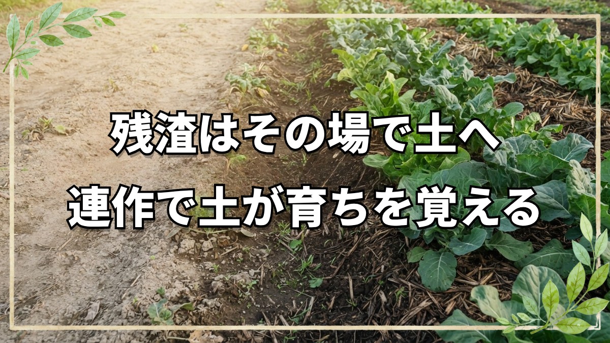 自然栽培の残渣処理と連作の基本