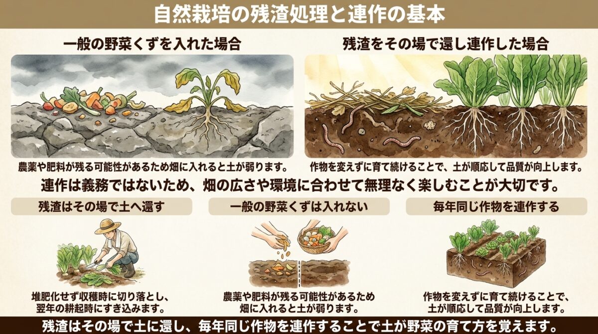 自然栽培の残渣処理と連作の基本