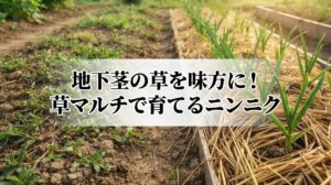 地下茎の雑草が生える畑をどう活かすか?自然栽培での畝作りとニンニクの植え付け実演