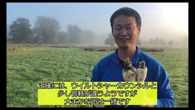 ウィルシャー州の役所職員が圃場を視察した経緯