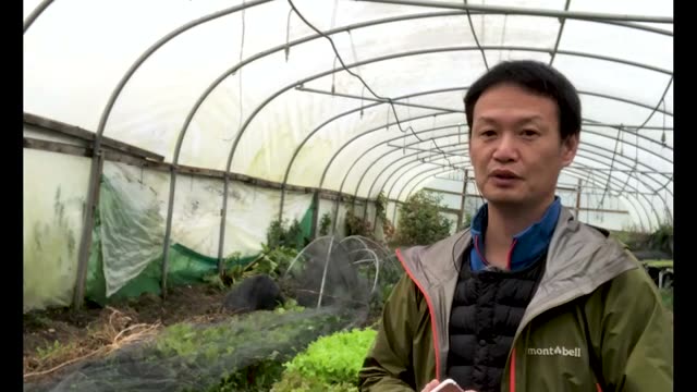 ニンニク栽培における積雪と寒さへの耐性