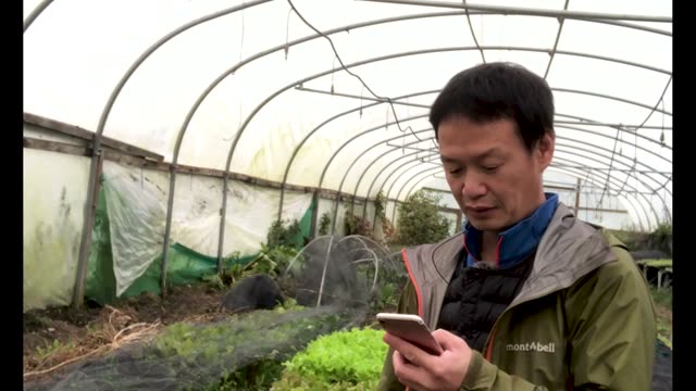 自然農法の起源と背景