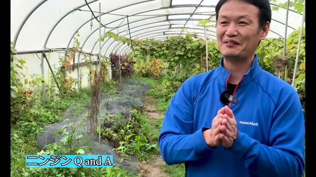 ジャガイモの芽かきへの考え方