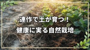 自然栽培における連作の可能性 土が作物を育てるプロになる仕組み