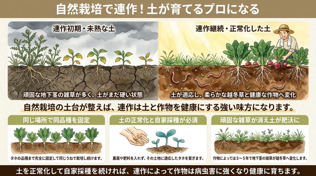 自然栽培における連作の可能性 土が作物を育てるプロになる仕組み