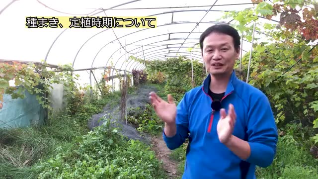 種まきと苗の定植時期を決める3つの基準