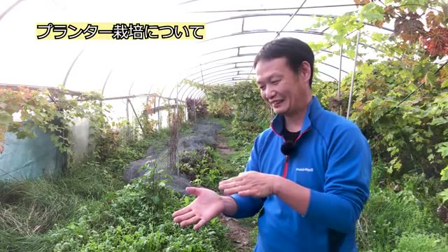 プランター栽培後の土の扱い方