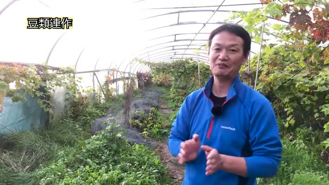 連作が土を強くする理由と転換期の注意点