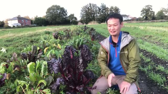 病気や害虫に対する根本的なアプローチ