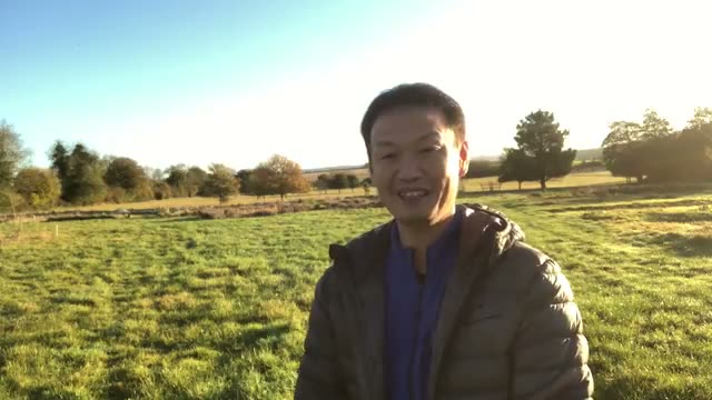 床堆肥を取り入れる際のポイント