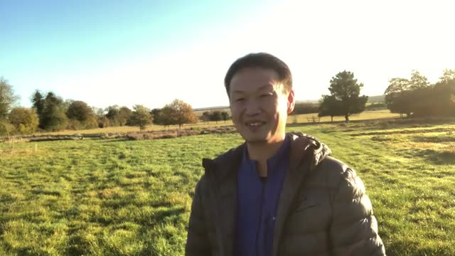 床堆肥の効果と適した野菜