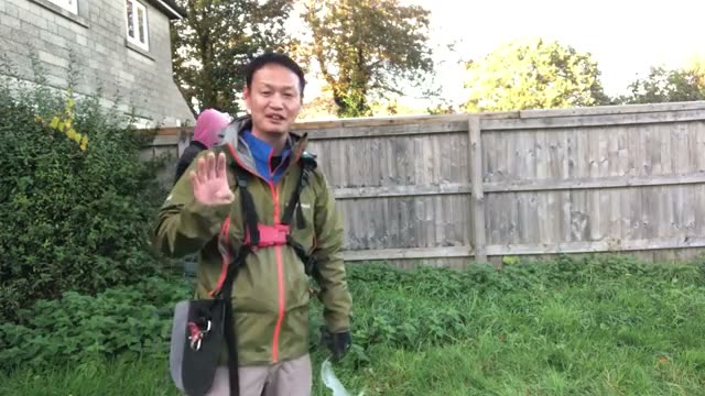 草が生えた状態から始める畑作りの概要