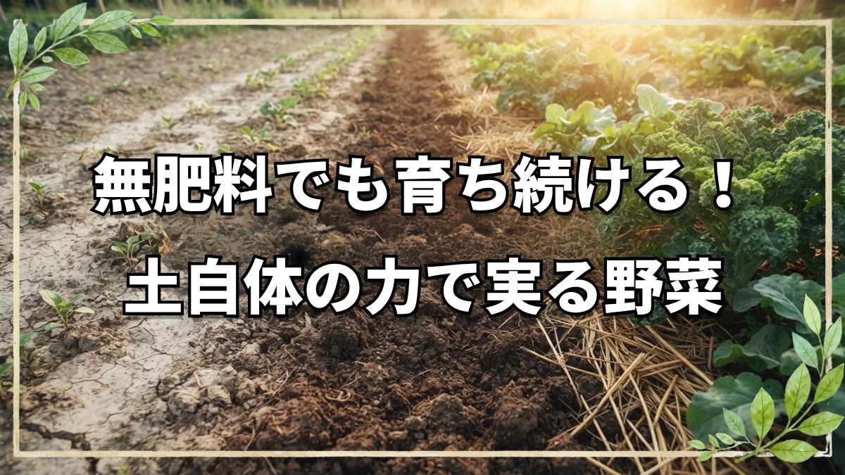 イギリスの晩秋の畑と自然栽培の疑問｜草マルチのすき込み・交雑対策・無肥料の考え方