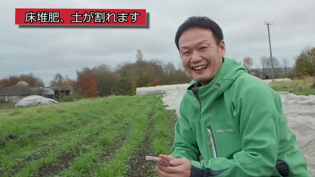 落ち葉を使った畝の亀裂と対処法