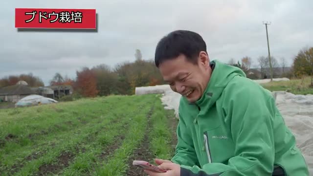 ハウスでのブドウ栽培と剪定の考え方