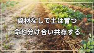 自然栽培における土作りと動物との共存法|米ぬかボカシの考え方や畝の亀裂対策