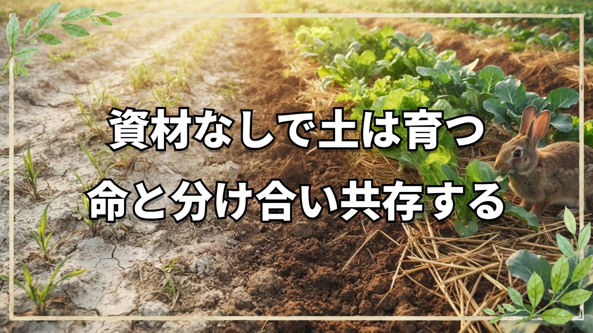 自然栽培における土作りと動物との共存法｜米ぬかボカシの考え方や畝の亀裂対策