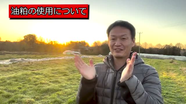 油かすのぼかしは自然栽培で使えるのか