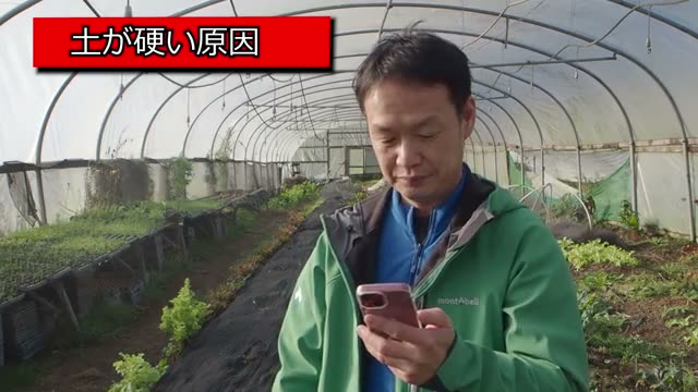 畑の土が硬くなる原因と肥料の関係