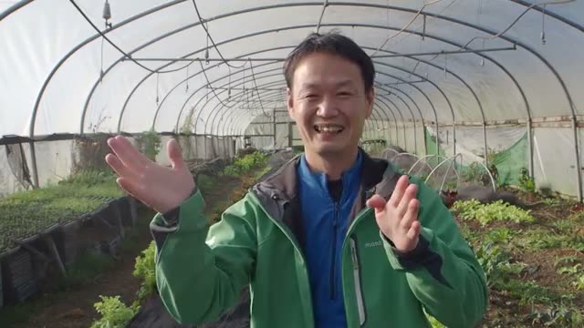 ベト病や害虫を克服する2つの柱