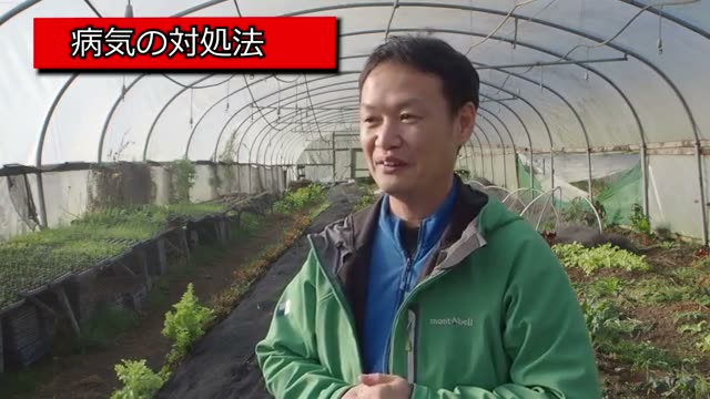 慣行栽培から自然農法へ安全に移行する手順