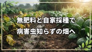 自然栽培におけるベト病と害虫の根本対策｜油かすの是非と土の正常化