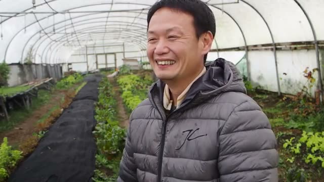 土は耕すべきか耕さないべきか|効率を度外視した場合の判断
