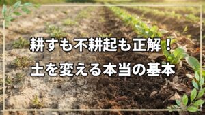 耕すか不耕起か?自然栽培の土づくり
