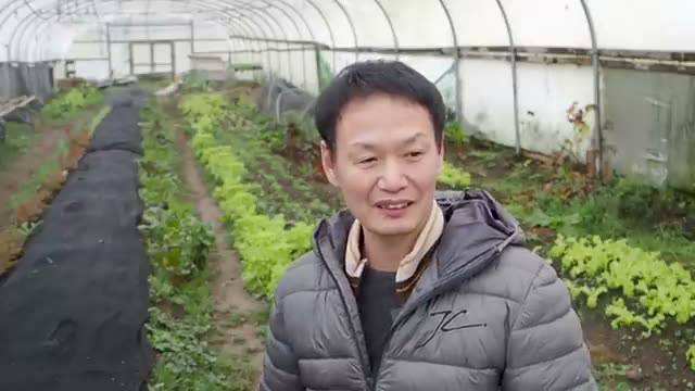 冬場の霜対策と寒さに強い野菜