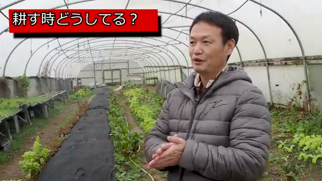畑を耕す頻度と残渣処理の考え方